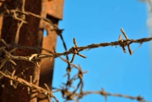 Desde Varsovia: Excursión a Auschwitz-Birkenau en coche