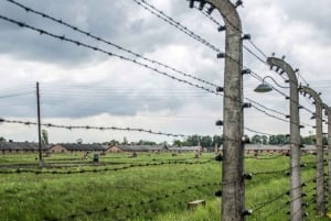 Fra Warszawa: Guidet utflukt til Auschwitz-Birkenau og Krakow