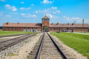 De Varsóvia: Visita guiada a Auschwitz-Birkenau e Cracóvia