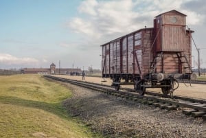 De Varsóvia: Visita guiada a Auschwitz-Birkenau e Cracóvia