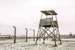 Vanuit Warschau: Rondleiding naar Auschwitz-Birkenau en Krakau