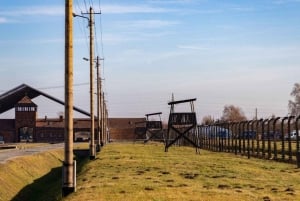 Från Warszawa: Guidad tur till Auschwitz-Birkenau och Krakow