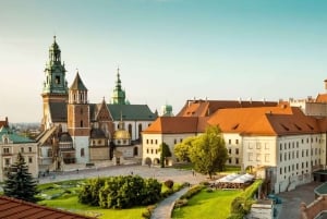 Au départ de Varsovie : Visite guidée d'Auschwitz-Birkenau et de Cracovie
