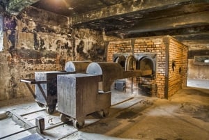 Au départ de Varsovie : Visite guidée d'Auschwitz-Birkenau et de Cracovie