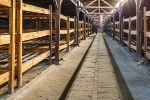 Au départ de Varsovie : Visite guidée d'Auschwitz-Birkenau et de Cracovie