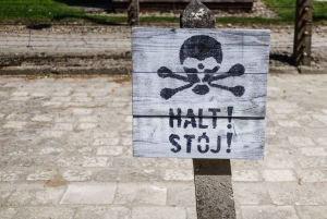 Au départ de Varsovie : Visite guidée d'Auschwitz-Birkenau et de Cracovie