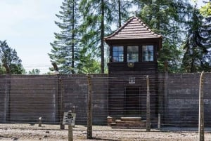 Au départ de Varsovie : Visite guidée d'Auschwitz-Birkenau et de Cracovie