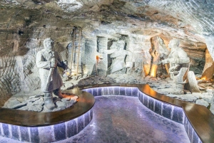 Fra Warszawa: Guidet tur til Wieliczka-saltminen og Krakow