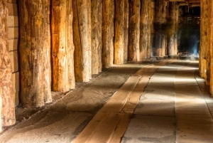 Fra Warszawa: Guidet tur til Wieliczka-saltminen og Krakow