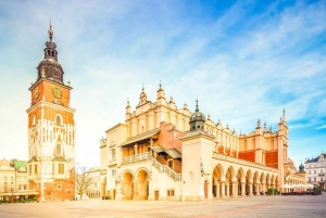 Fra Warszawa: Guidet tur til Wieliczka-saltminen og Krakow