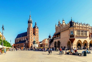 From Warsaw: Krakow and Auschwitz Day Tour by Train