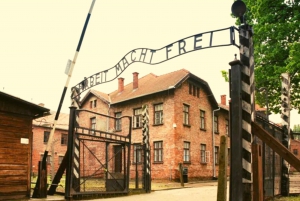 From Warsaw: Krakow and Auschwitz Day Tour by Train