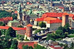From Warsaw: Krakow and Auschwitz Day Tour by Train