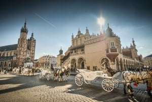 Von Warschau aus: Krakau Sightseeingtour mit dem Schnellzug