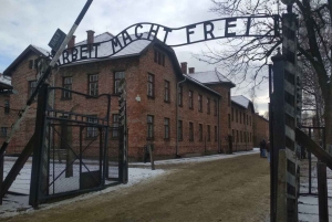 From Warsaw: One-Day Auschwitz Concentration Camp Tour