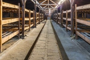 From Wroclaw: Guided Tour to Auschwitz-Birkenau and Krakow