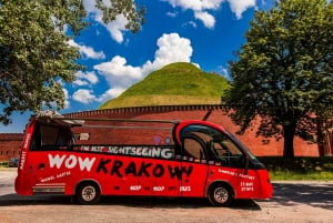 Kraków: Hop-On Hop-Off Bus Ticket