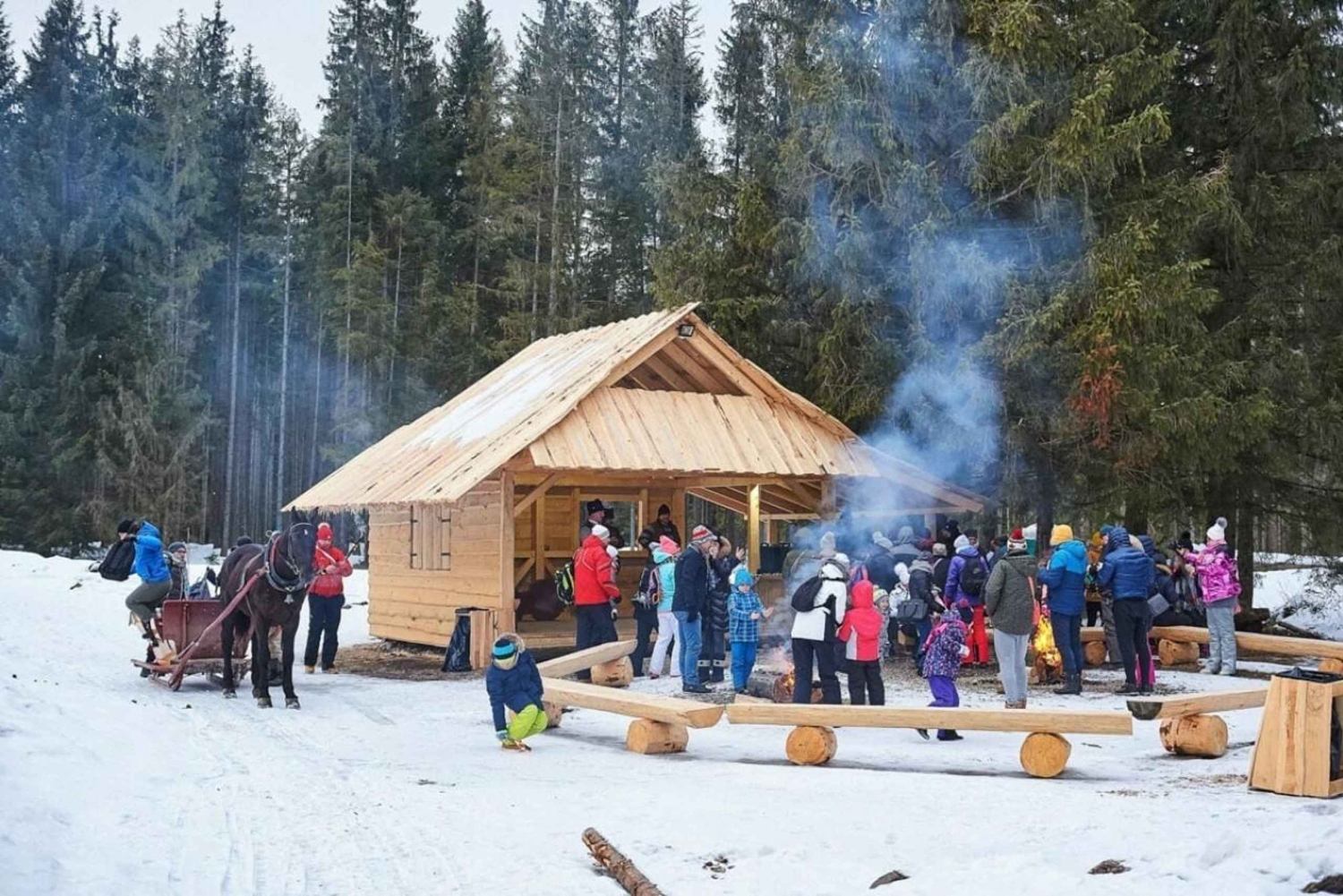 Paseo en trineo tirado por caballos de 2-3 horas con aguas termales o combinados con Zakopane.
