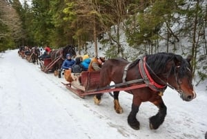 Paseo en trineo tirado por caballos de 2-3 horas con aguas termales o combinados con Zakopane.