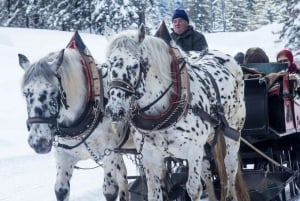 Paseo en trineo tirado por caballos de 2-3 horas con aguas termales o combinados con Zakopane.