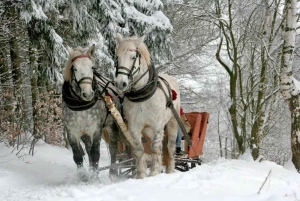 Paseo en trineo tirado por caballos de 2-3 horas con aguas termales o combinados con Zakopane.