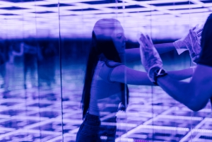 ''House Of Attractions'': Familiebillet til glaslabyrinten 2+1