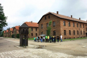 Katowice: Auschwitz and Krakow Old Town Private Guided Tour
