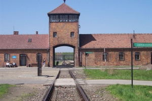 Katowice: Auschwitz and Krakow Old Town Private Guided Tour