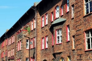 Från Krakow: Katowice & Silvergruvan privat tur