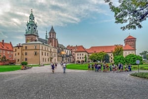 Katowice: trip to Krakow with sightseeing