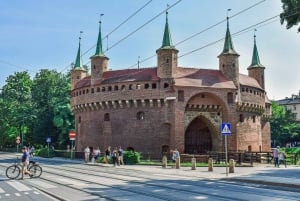 Katowice: trip to Krakow with sightseeing