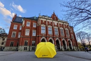 Krakauer oude stad tour