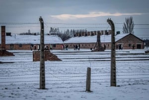 Krakow: Auschwitz-Birkenau Museum One-Way Bus Transfer