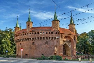Krakow: Electric Car Sightseeing Tour