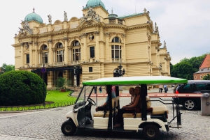 Cracovie : visite guidée privée de 2 heures