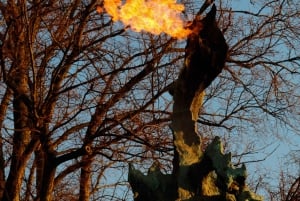 Krakow: A Family Adventure Walking Guided Tour