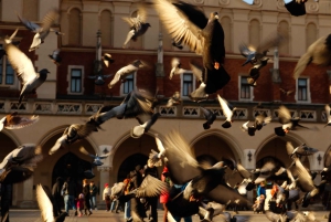 Krakow: A Family Adventure Walking Guided Tour