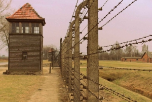 Krakow and Auschwitz Small-Group Tour from Lodz with Lunch