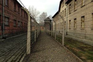 Krakow and Auschwitz Small-Group Tour from Lodz with Lunch