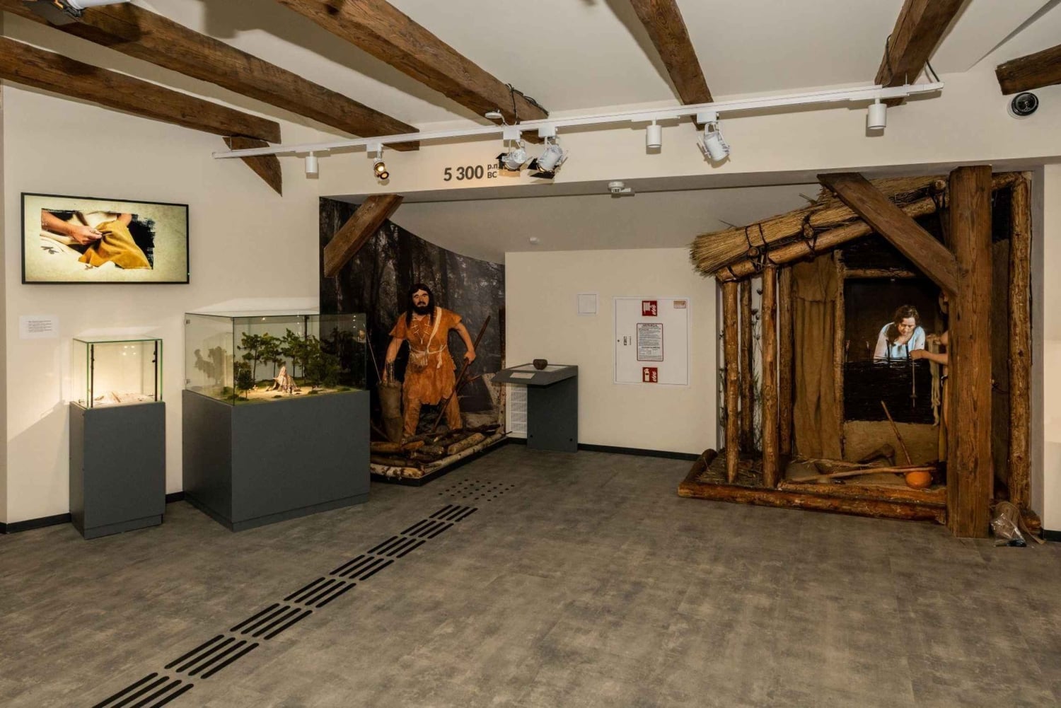 Krakova: arkeologisen museon sisäänpääsy