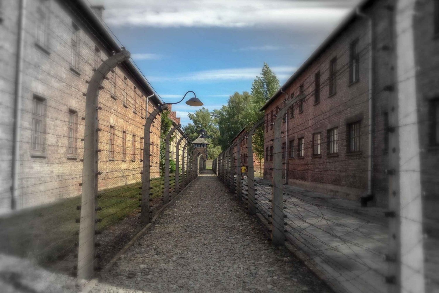 Krakow: Auschwitz-Birkenau Tour with Kazimierz/Schindler's