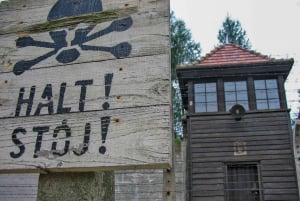 Kraków: Auschwitz and Birkenau Tour with Private Transport