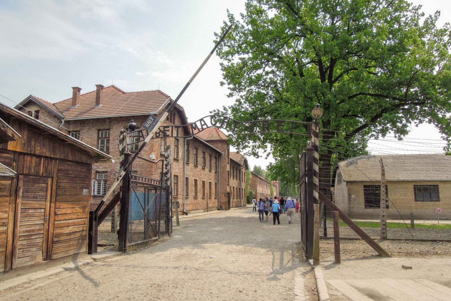 Från Kraków: Auschwitz & Wieliczka saltgruva på kombirundtur