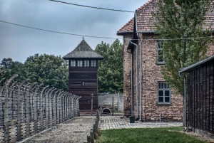Krakow: Auschwitz and Wieliczka Salt Mine Combo Tour