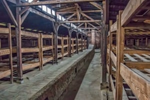 Krakow: Auschwitz and Wieliczka Salt Mine Combo Tour