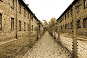 Krakow: Auschwitz-Birkenau and Salt Mine Full–Day Tour