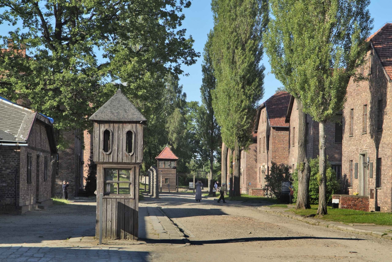Krakow: Auschwitz-Birkenau and Wieliczka Salt Mine Day Trip