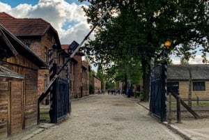 Krakow: Auschwitz-Birkenau and Wieliczka Salt Mine Day Trip