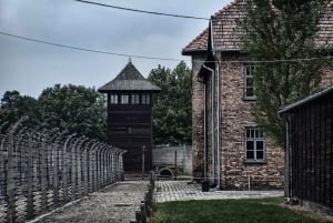 Cracovie : Excursion d'une journée à Auschwitz-Birkenau et à la mine de sel de Wieliczka