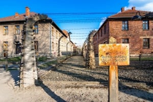 Fra Kraków: Dagstur til Auschwitz og Wieliczka saltgruve